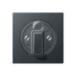 A 1941 centre plate for rotary, timer and blind  switch Anthracite matt