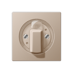 A 1941 centre plate for rotary, timer and blind  switch Champagne