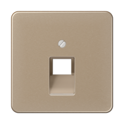 CD569-1UA Centre plate for modular jack sockets goldbronze