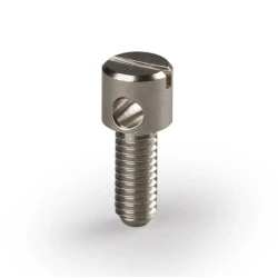 PLE152 sealing screw
