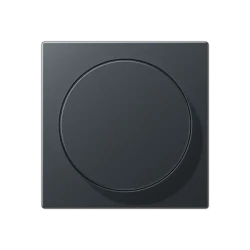 A1740 dimmer center plate matt-anthracite
