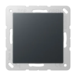 A594-0 blank centre plate matt anthracite