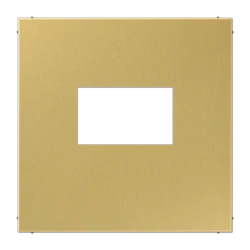 ME1969USBC kõlaripesa ja USB katteplaat messing