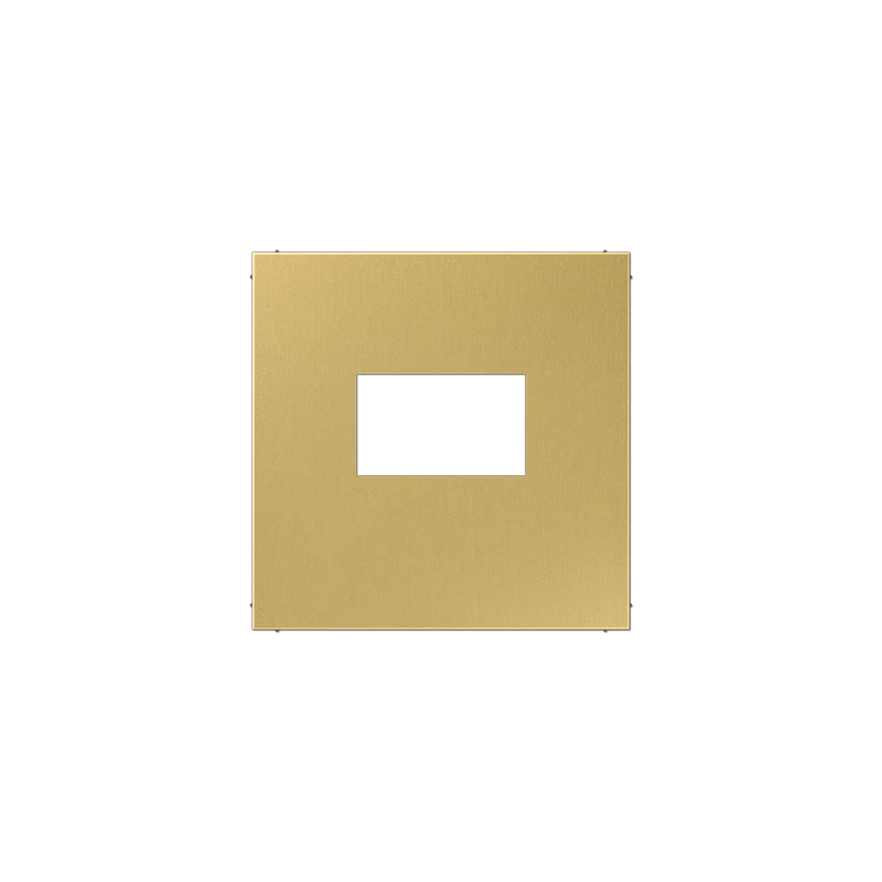 ME1969USBC kõlaripesa ja USB katteplaat messing