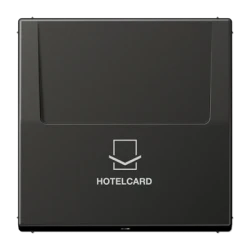 AL2990CARDAN hotellikaardi hoidja Antratsiit