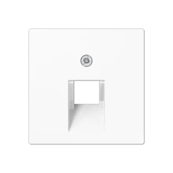 A569-1PLUAWW center plate 1-way