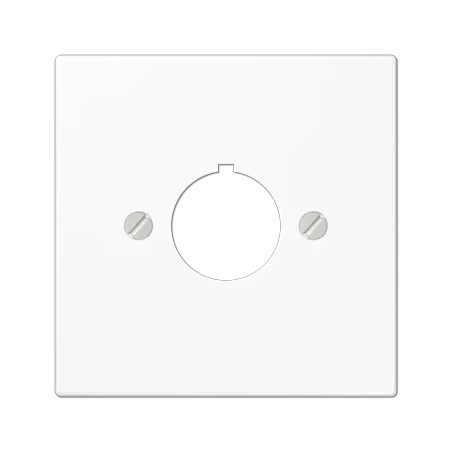 LS964WW DN 22,5mm center plate (M22)