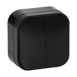 2-ne lülitit pinnale must IP20