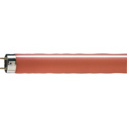 TL-D Colored T8 fluorescent tube