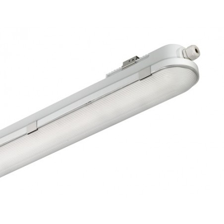 WT120C G2 LED IP65 4000lm 30W IP65 tööstusvalgusti
