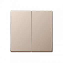 AS500 šampanja 2-se lüliti katted