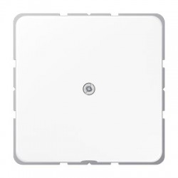 CD590A kaabli väljaviik harutoosist valge