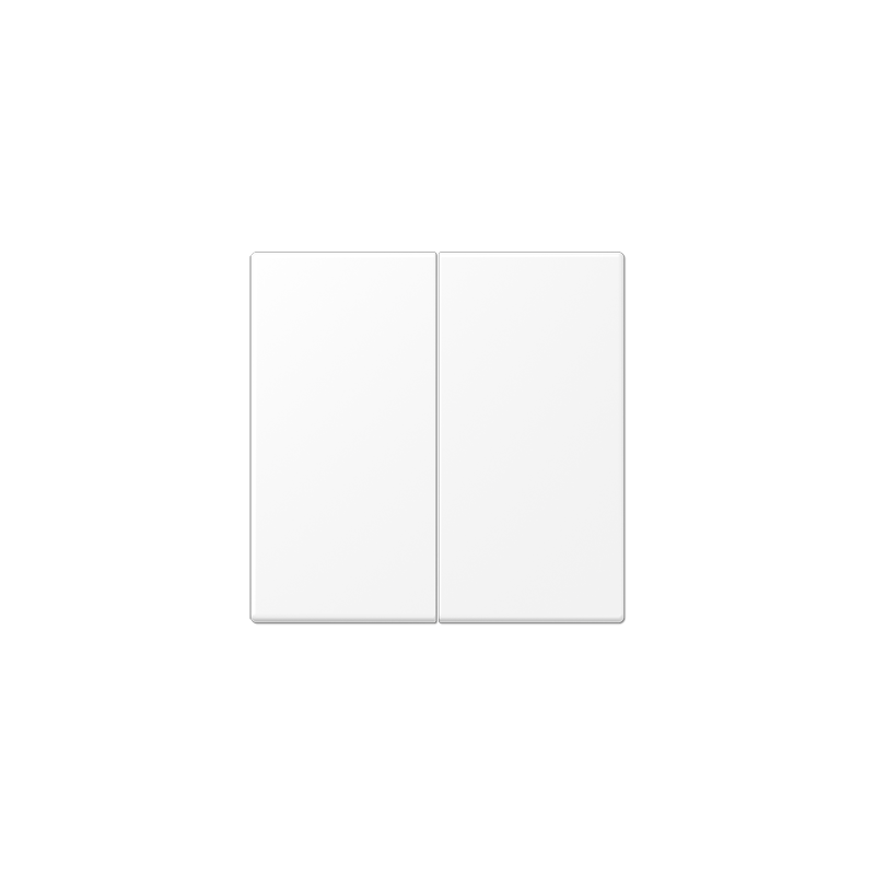 LS990 matt snow white 2-gang rocker