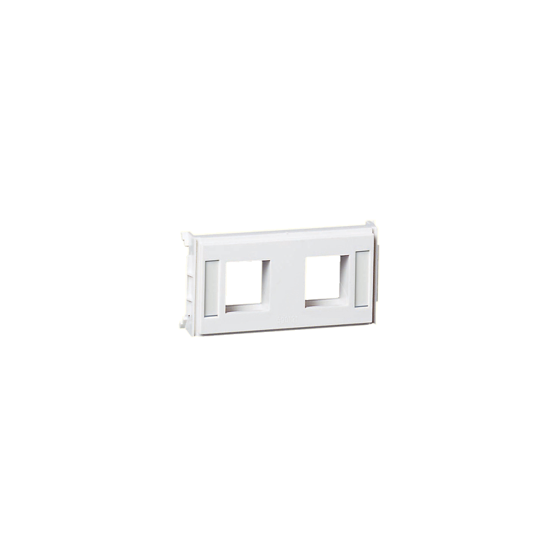 P.plaat 2*RJ45 AMP110