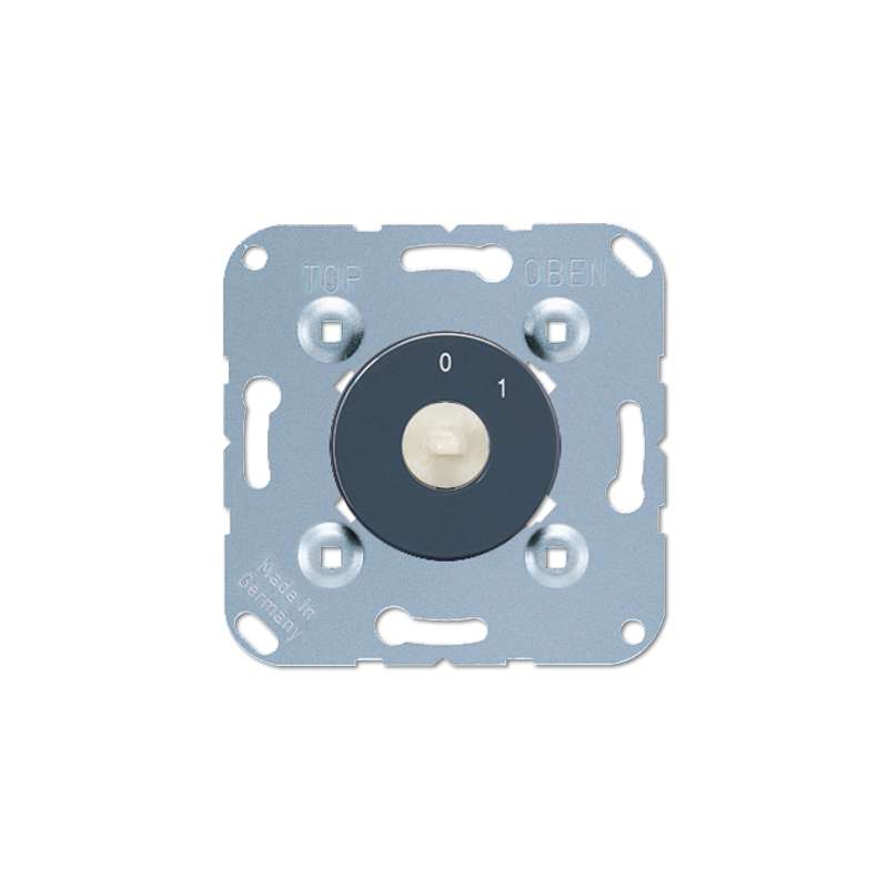 Rotary switch insert