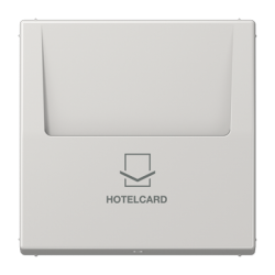 LS 590 CARD hotellikaardi hoidja helehall
