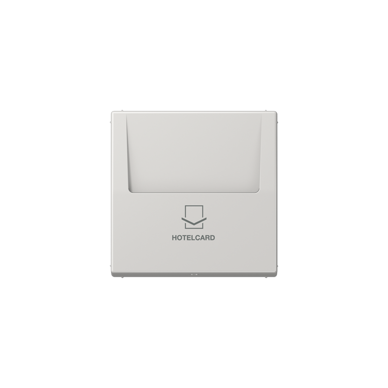 LS 590 CARD hotellikaardi hoidja helehall