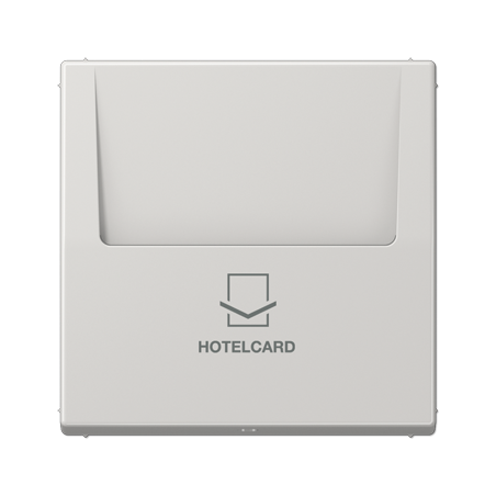 LS 590 CARD hotellikaardi hoidja helehall