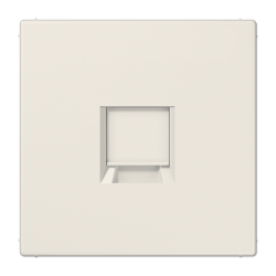 LS 1969-1 NWE arvuti ühene katteplaat keystone elevandiluu