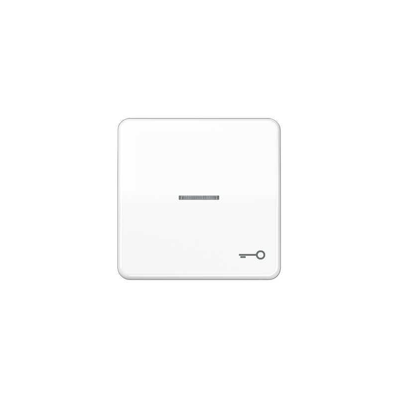 CD500 valge 1-se lüliti katted