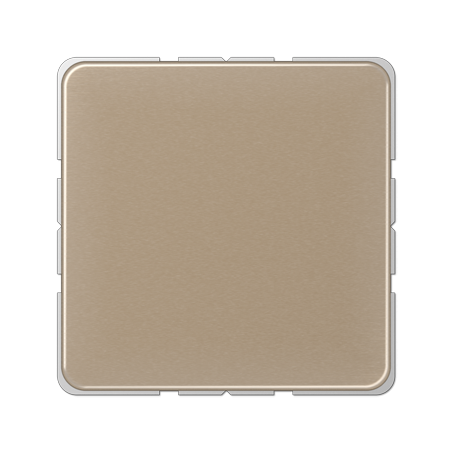 CD594-0 blank centre plate goldbronze