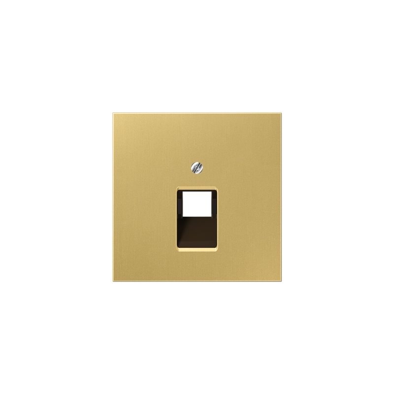 ME2969-1UA C arvuti keskplaat Messing