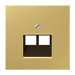 ME 2969-2 UA C center plate Classic brass