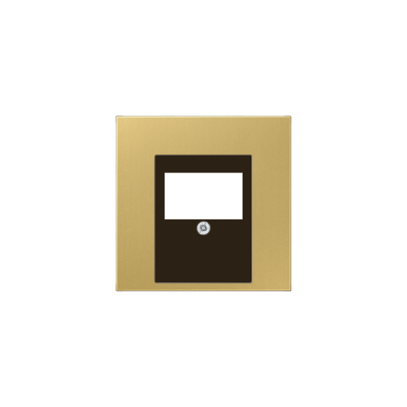 ME 2969T C USB / speaker centre plate Classic brass