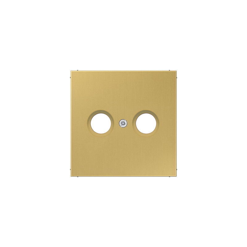 ME 2990 TV C centre plate Classic brass